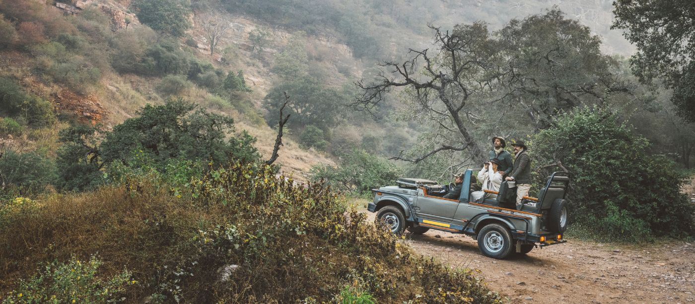 Ranthambore